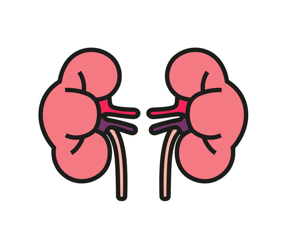 Kidney Care | Riñones