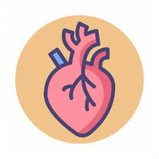 Circulatory System | Sistema Circulatorio